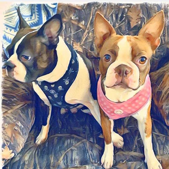 Meet your Posher, Nathan - Picture 1 of 1